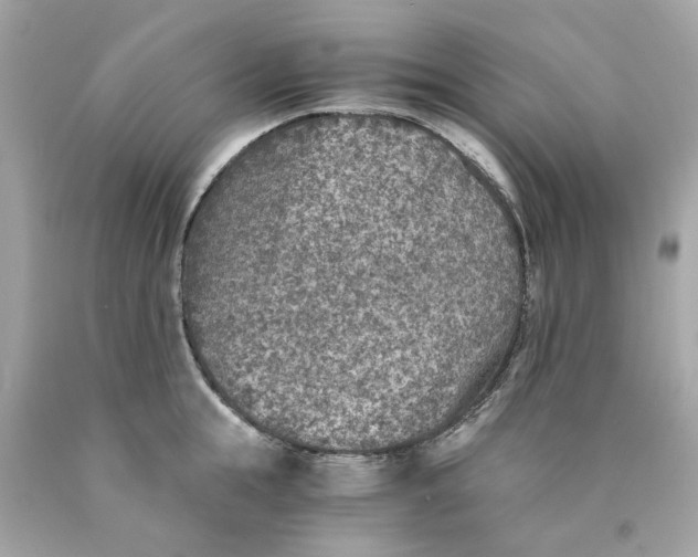 X0000089970855200707202009