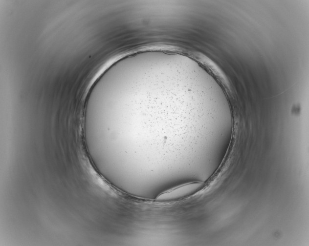 X0000089970860200707202009