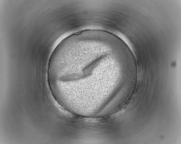 X0000089970861200707202009