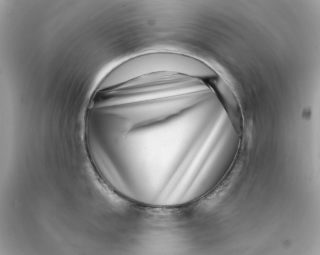 X0000089970862200707202009