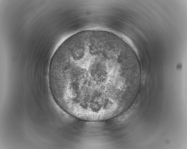 X0000089970863200707202009