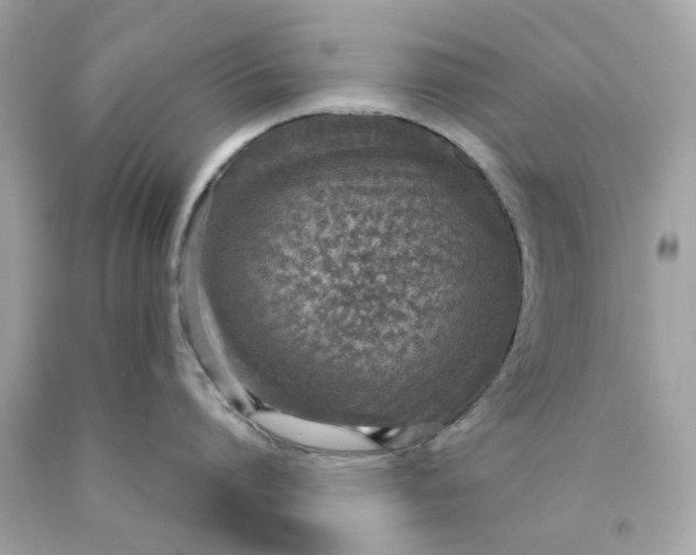 X0000089970864200707202009