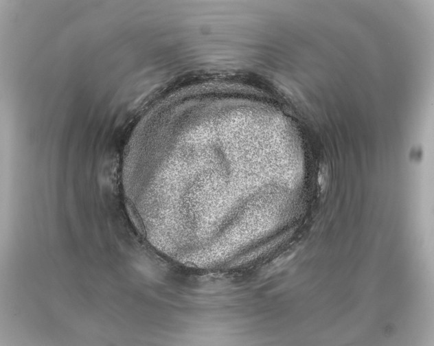 X0000089970867200707202008