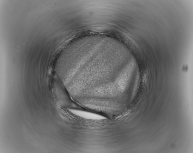 X0000089970868200707202008