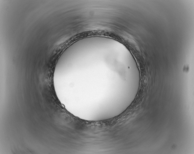 X0000089970869200707202008