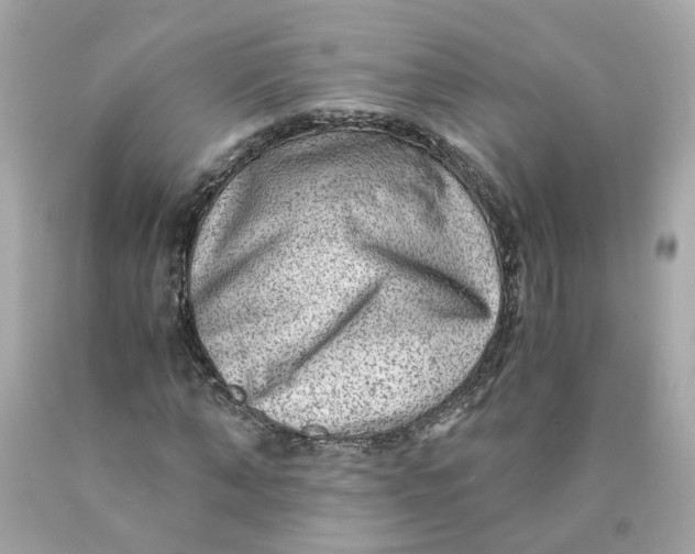 X0000089970870200707202008