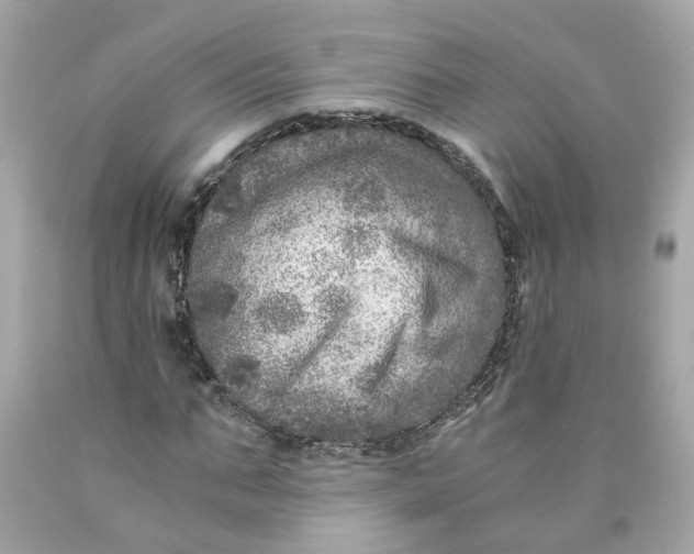 X0000089970871200707202008