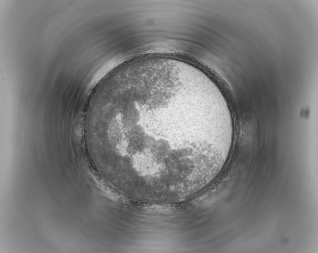 X0000089970874200707202008