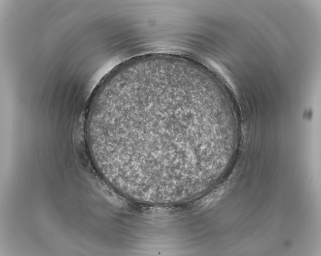 X0000089970875200707202008