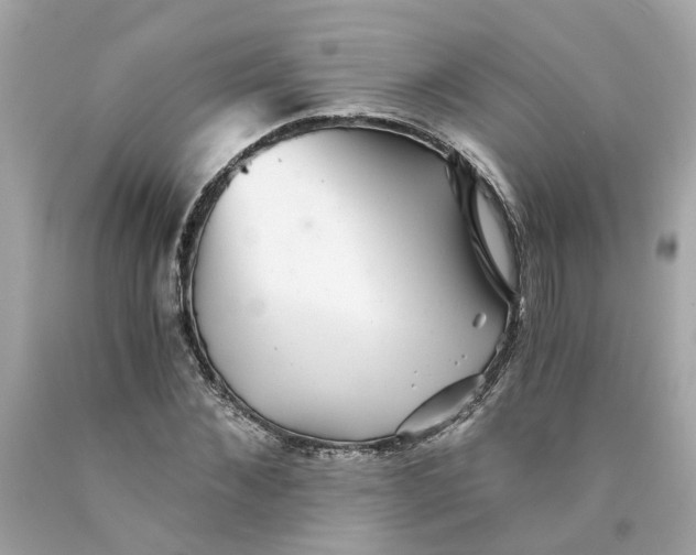 X0000089970876200707202008