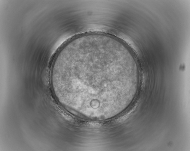 X0000089970878200707202008