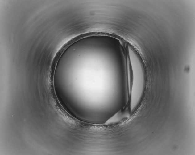 X0000089970880200707202008