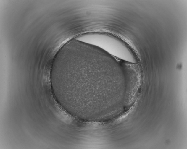 X0000089970881200707202008