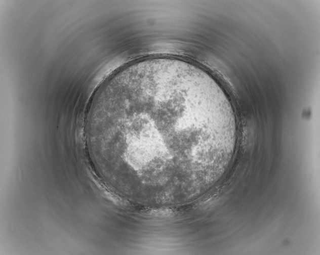 X0000089970882200707202008