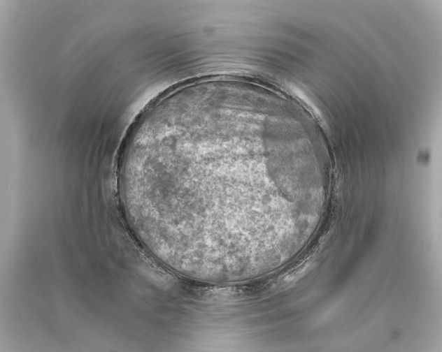 X0000089970883200707202008