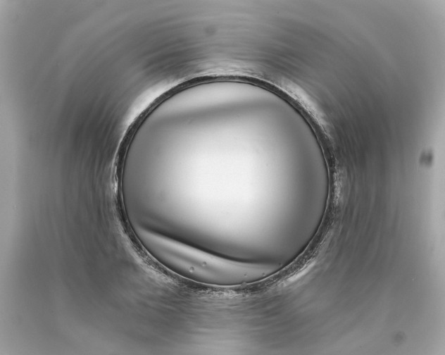 X0000089970885200707202008