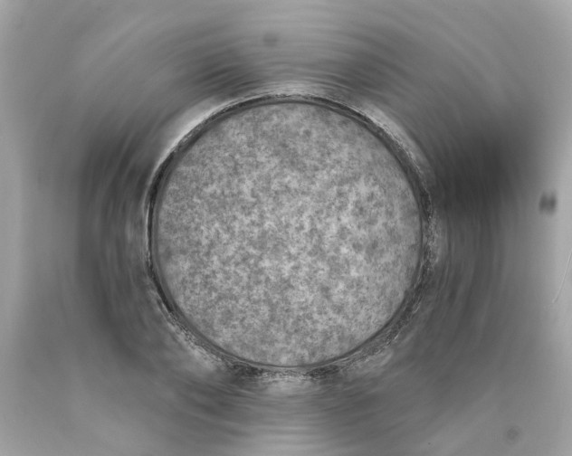 X0000089970886200707202008