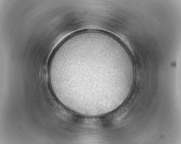 X0000089970887200707202008