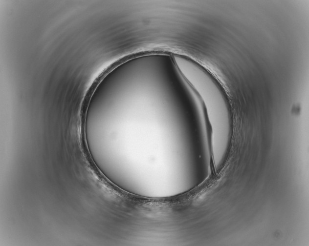 X0000089970888200707202008