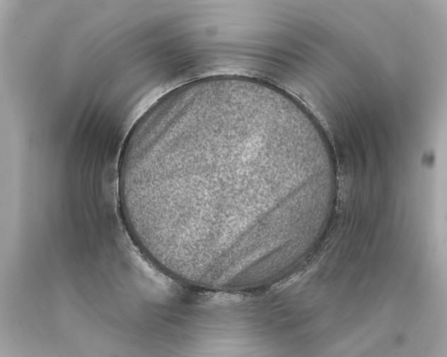 X0000089970890200707202008