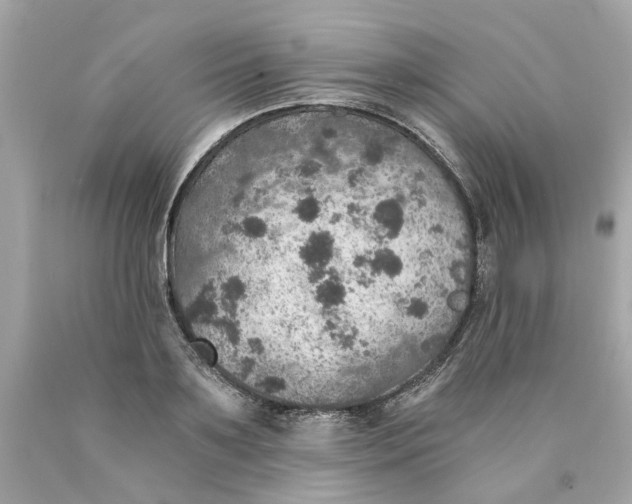 X0000089970891200707202008