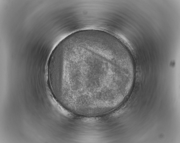 X0000089970892200707202008