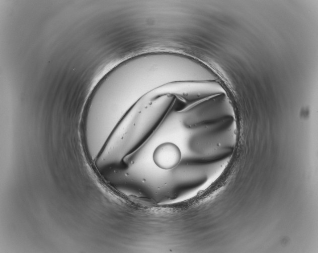 X0000089970893200707202008