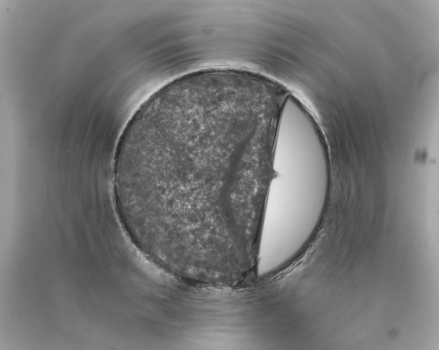 X0000089970895200707202008