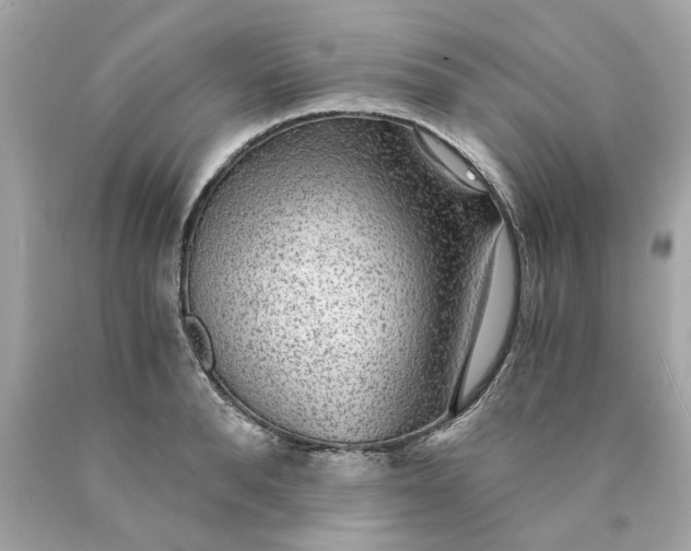 X0000089970896200707202008