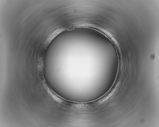 X0000089970897200707202008