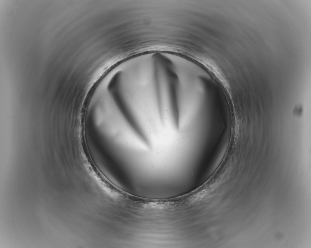 X0000089970898200707202008