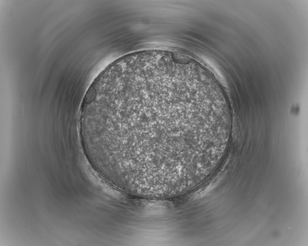 X0000089970899200707202008