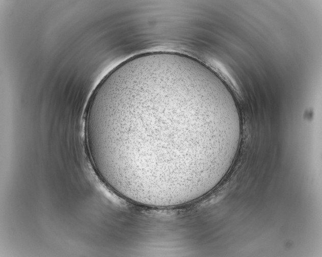 X0000089970900200707202008