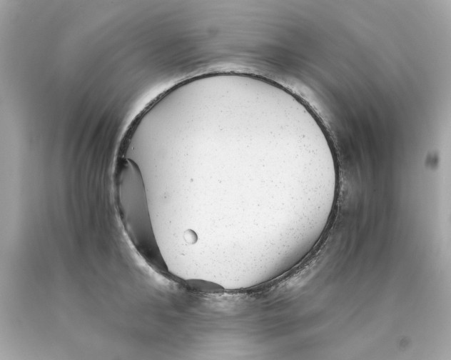 X0000089970902200707202008