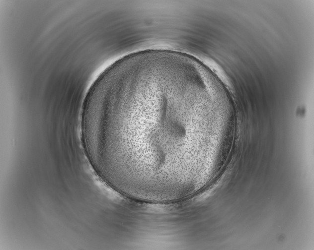 X0000089970904200707202008