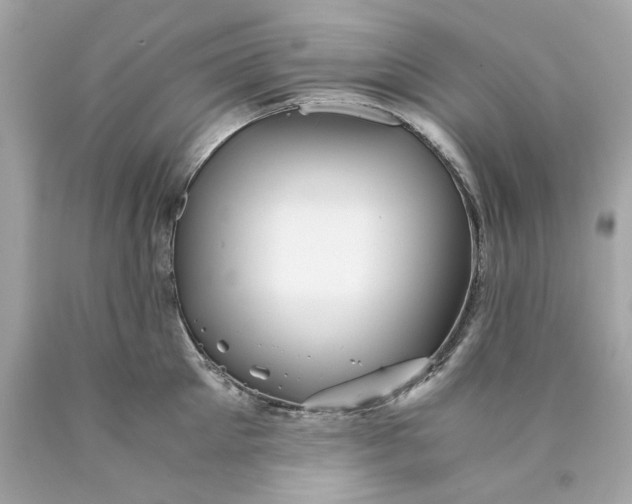 X0000089970905200707202008