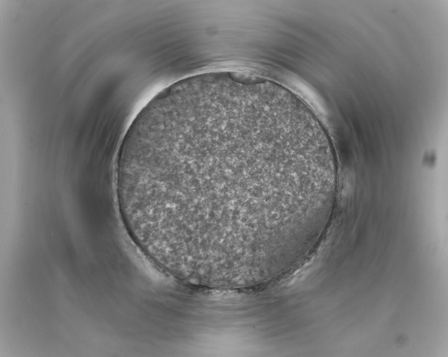 X0000089970907200707202008