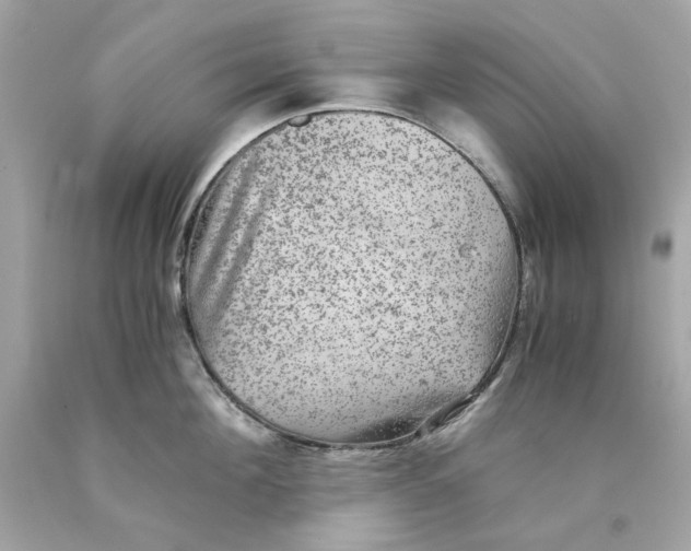 X0000089970908200707202008