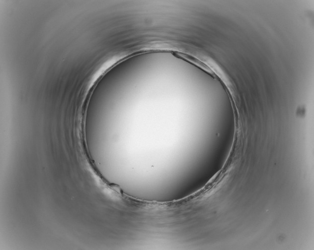 X0000089970909200707202008