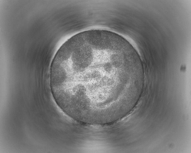 X0000089970911200707202008