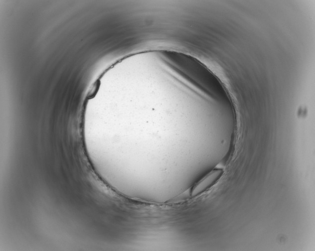 X0000089970912200707202008