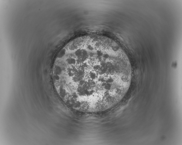 X0000089970913200707202007