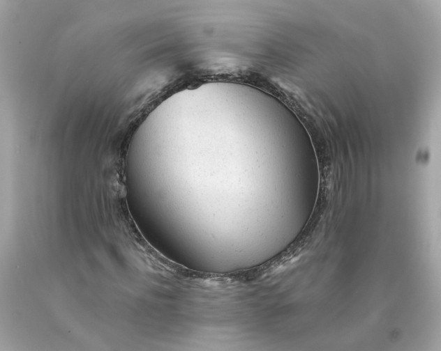 X0000089970916200707202007