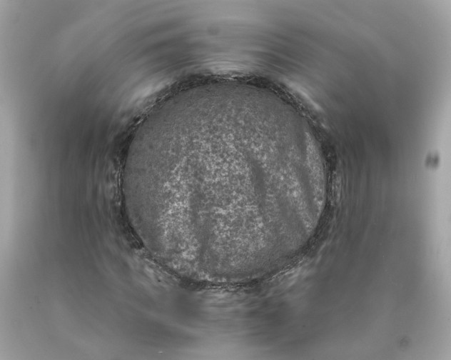 X0000089970917200707202007