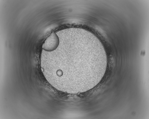 X0000089970918200707202007