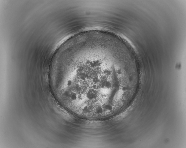 X0000089970921200707202007