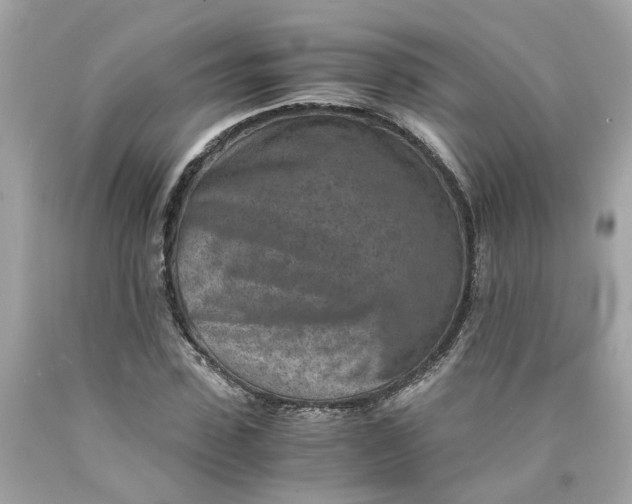 X0000089970923200707202007