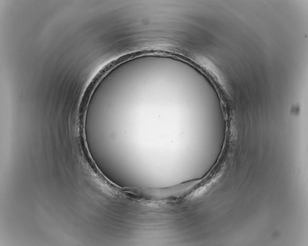 X0000089970924200707202007