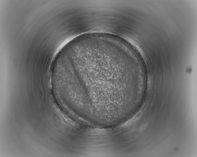 X0000089970925200707202007