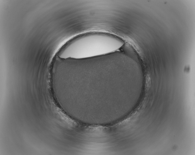 X0000089970926200707202007